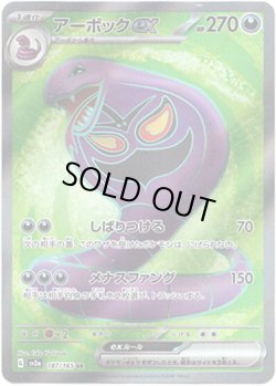 画像1: 【SR】アーボックex