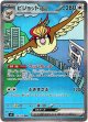 ※傷有り品（返品交換対象外）【SAR】ピジョットex
