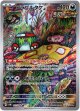 ※傷有り品（返品交換対象外）【AR】アラブルタケ