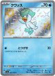 【S】クワッス