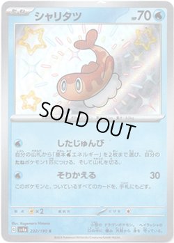 画像1: ※傷有り品（返品交換対象外）【S】シャリタツ