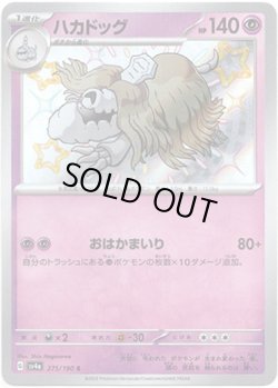 画像1: ※傷有り品（返品交換対象外）【S】ハカドッグ