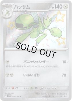 画像1: ※傷有り品（返品交換対象外）【S】ハッサム