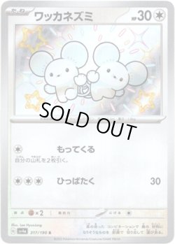 画像1: 【S】ワッカネズミ