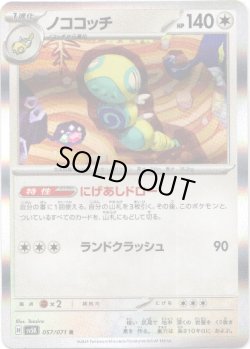 画像1: ノココッチ