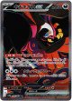 ※傷有り品（返品交換対象外）【SAR】キチキギスex