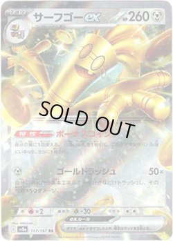 画像1: サーフゴーex