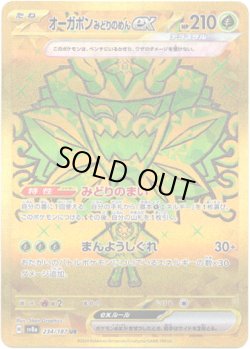 画像1: ※傷有り品（返品交換対象外）【UR】オーガポン みどりのめんex