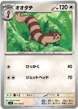 画像1: オオタチ