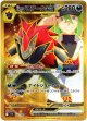 ※傷有り品（返品交換対象外）【UR】Nのゾロアークex