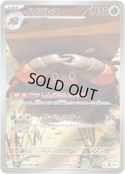 画像1: ※傷有り品（返品交換対象外）【AR】イワパレス