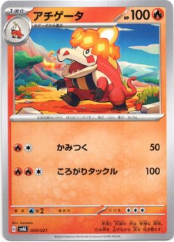 画像1: 【ノーマル仕様】アチゲータ
