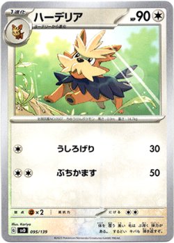 画像1: ハーデリア