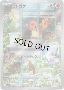 画像1: ※傷有り品（返品交換対象外）【AR】ヒトカゲ