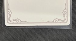 画像4: ※傷有り品（返品交換対象外）【リーダー】アリサ