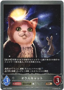 画像1: 【EVOLVE】オウルキャット