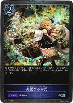 画像1: 【プレミアム】美麗なる術式