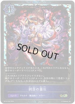 画像1: 【プレミアム】剥落の暴圧