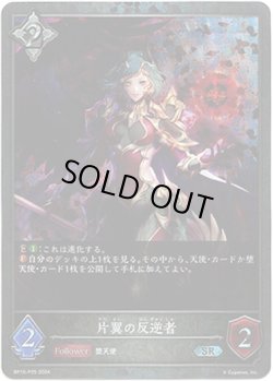 画像1: 【プレミアム】片翼の反逆者