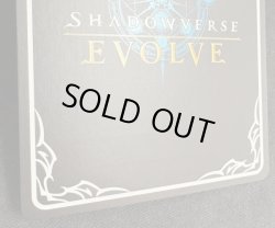 画像2: ※箔押し跡有り【SP】カースドクイーン・ナハト・ナハト