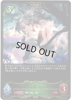 画像1: ※傷有り品（返品交換対象外）【ADVANCE】九火石炎・セッカ