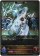 【EVOLVE】ブリザードハート・フィルレイン