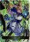 画像1: ※傷有り品（返品交換対象外）【リーダー】尽きぬ力・ソフィーナ (1)
