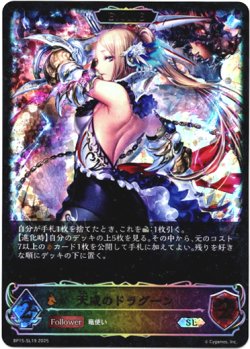 画像1: 【スーパーレジェンド】【EVOLVE】天威のドラグーン