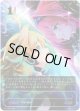 ※傷有り品（返品交換対象外）【アルティメット】音速の突破