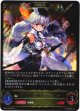 【EVOLVE】白銀の騎士団長・エミリア