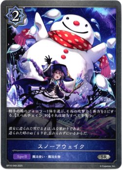 画像1: スノーアウェイク