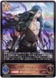 森の影・ヴァイディ