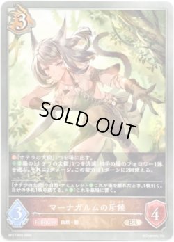 画像1: マーナガルムの斥候