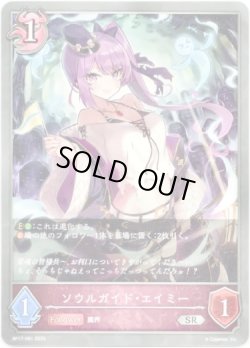画像1: ソウルガイド・エイミー