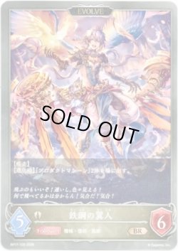 画像1: 【EVOLVE】鉄鋼の翼人