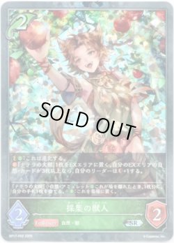 画像1: 【プレミアム】採集の獣人