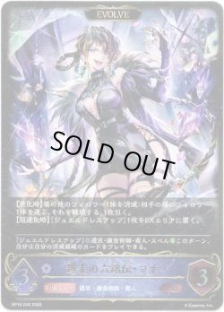 画像1: ※傷有り品（返品交換対象外）【EVOLVE】越光の六銘伝・マナ