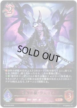 画像1: ※傷有り品（返品交換対象外）葬りの狼・ヴェッド