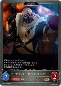 画像1: 【EVOLVE】サイバーグラスパンク