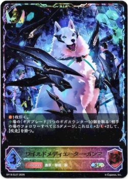 画像1: ※傷有り品（返品交換対象外）【スーパーレジェンド】ワイルドメディエーター・ガンマ