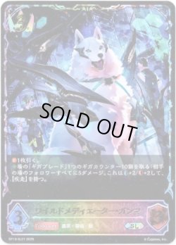 画像1: ※傷有り品（返品交換対象外）【スーパーレジェンド】ワイルドメディエーター・ガンマ