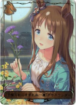 画像1: ※傷有り品（返品交換対象外）【リーダー】〔千紫万紅にまぎれぬ一凛〕グラスワンダー