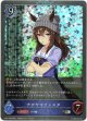 【プレミアム】ナカヤマフェスタ