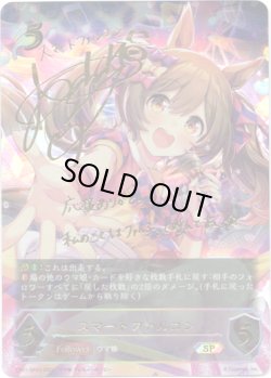 画像1: ※傷有り品（返品交換対象外）【SP】スマートファルコン