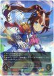 【SP】トウカイテイオー