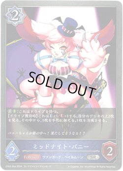 画像1: ミッドナイト・バニー