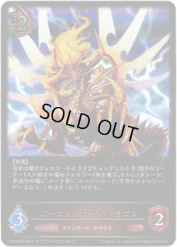 画像1: バーニングホーン・ドラゴン