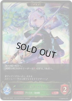 画像1: 【EVOLVE】コッコロ