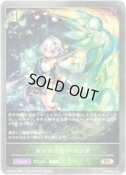 画像1: オーロラヒーリング