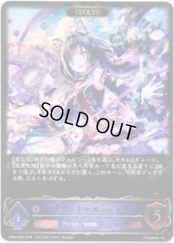 画像1: 【EVOLVE】キャル
